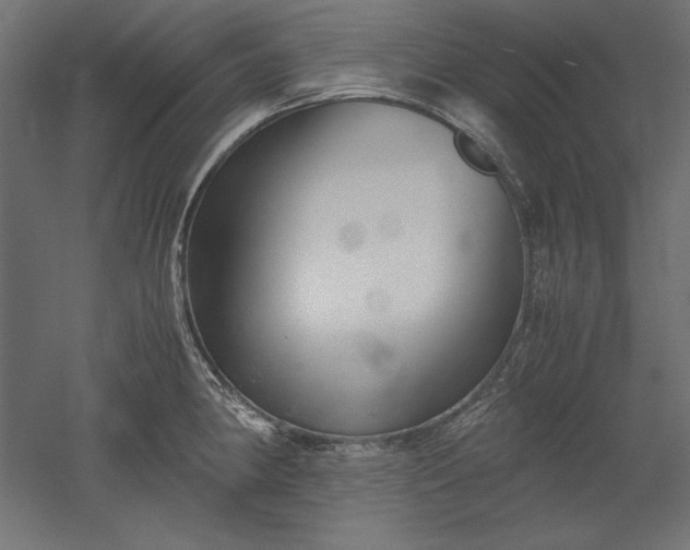 X0000051911190200507011525