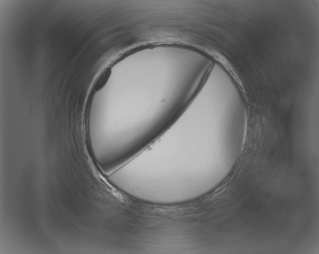 X0000051911191200507011525