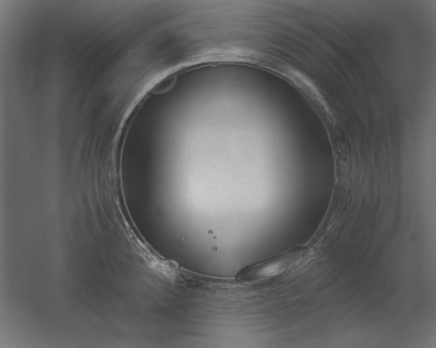 X0000051911192200507011525