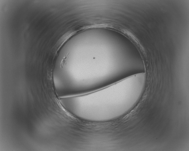 X0000051911193200507011525