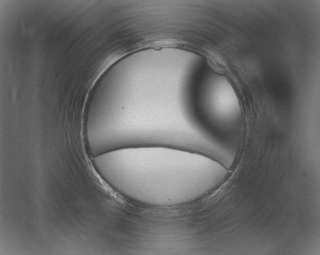 X0000051911194200507011525