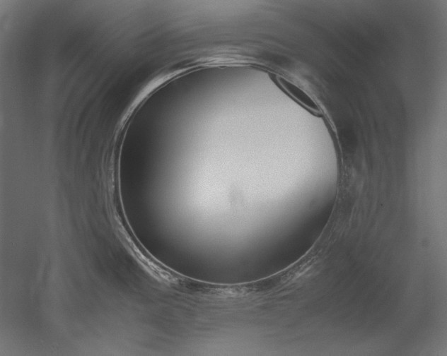 X0000051911195200507011525