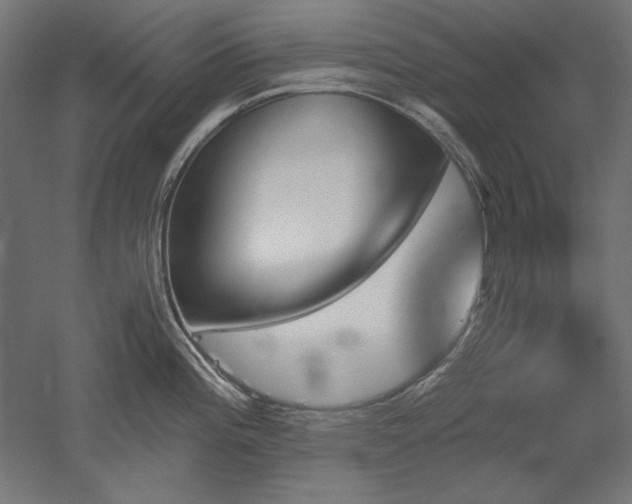 X0000051911196200507011525