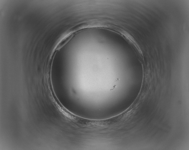 X0000051911197200507011525