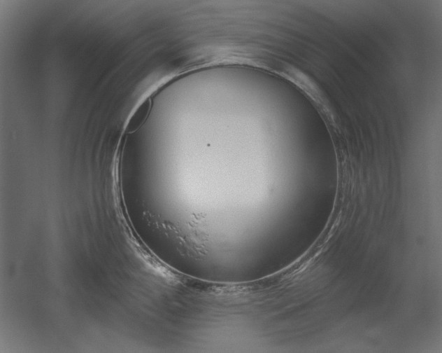 X0000051911198200507011525