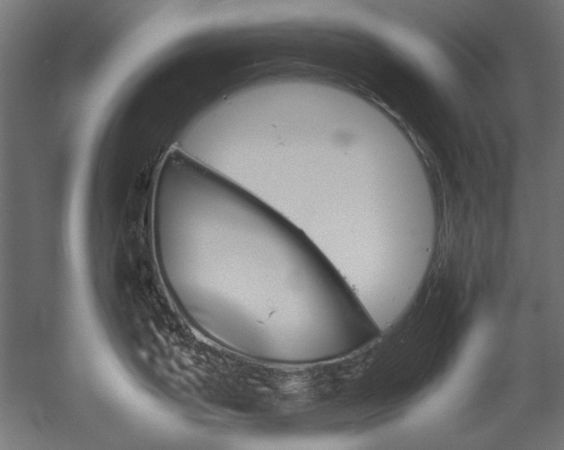 X0000051911199200507011525