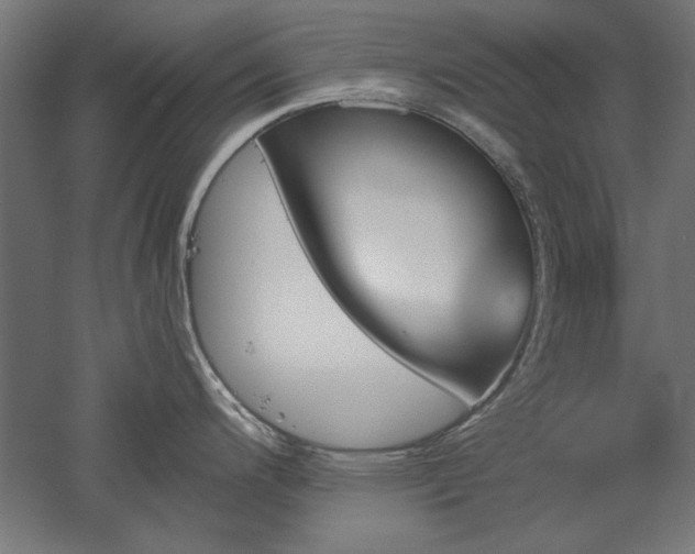 X0000051911200200507011525