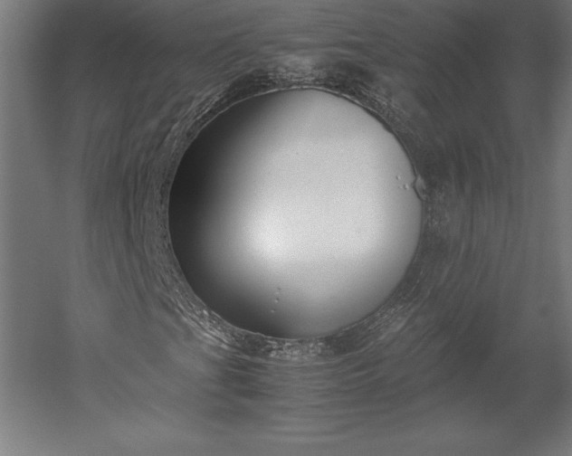 X0000051911201200507011524