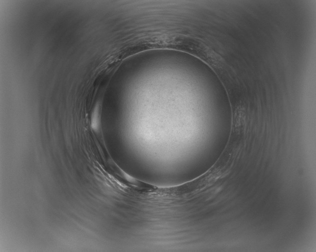 X0000051911202200507011524