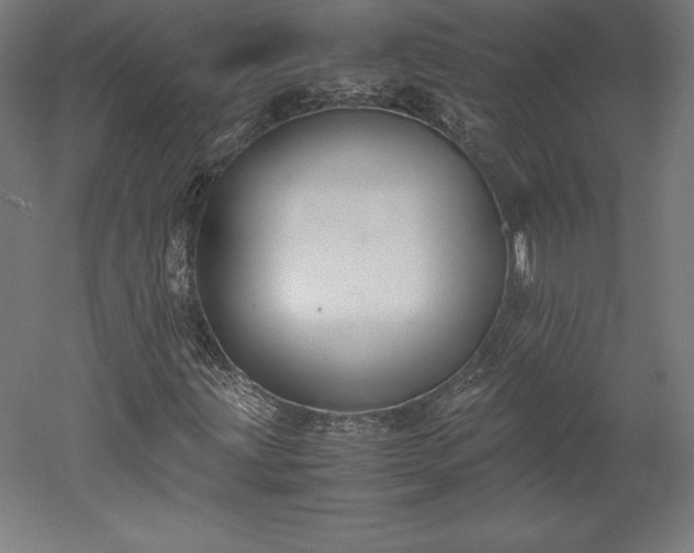 X0000051911203200507011524