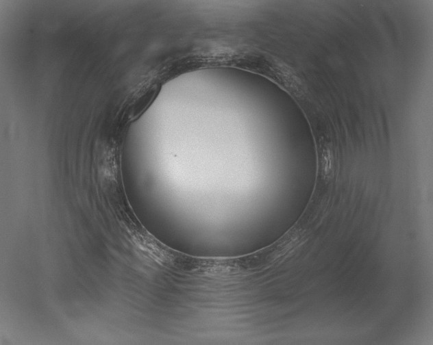 X0000051911204200507011524