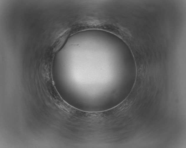 X0000051911205200507011524