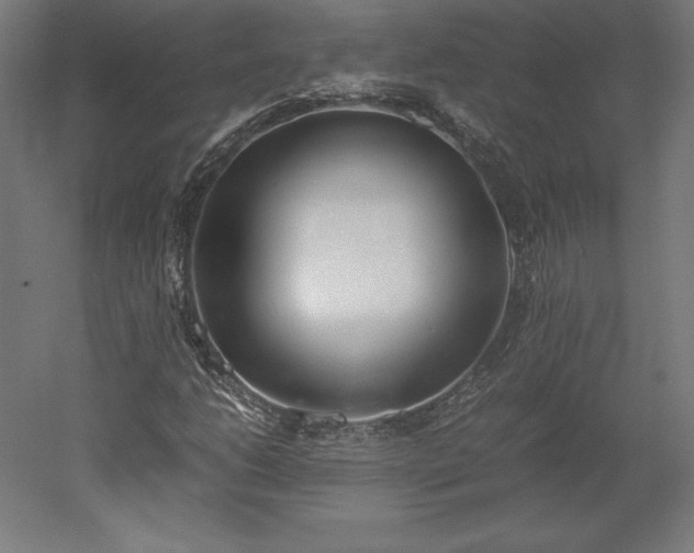 X0000051911206200507011524