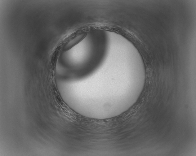 X0000051911207200507011524