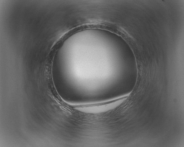 X0000051911208200507011524