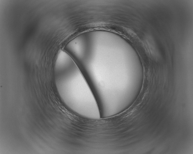 X0000051911209200507011524