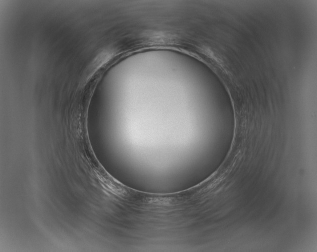 X0000051911211200507011525