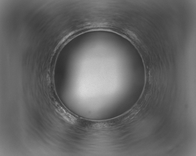 X0000051911212200507011525