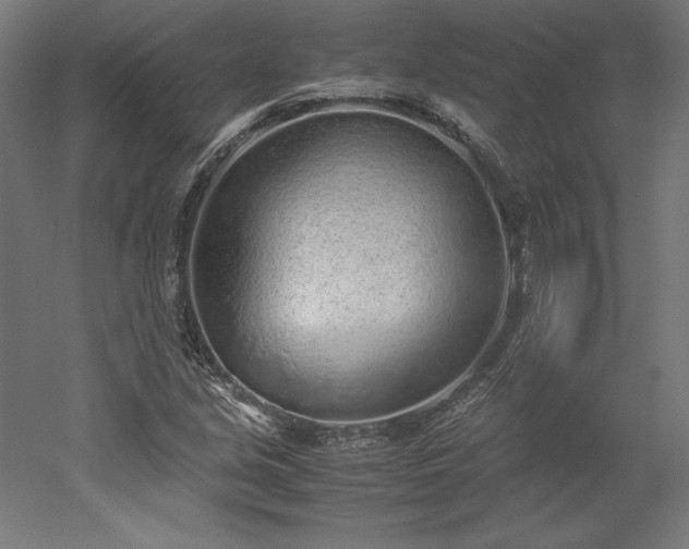 X0000051911213200507011525