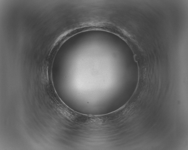 X0000051911214200507011525