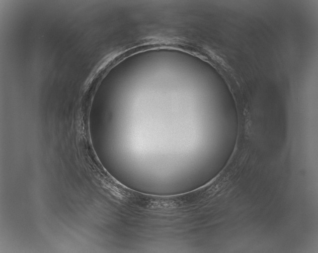 X0000051911215200507011525