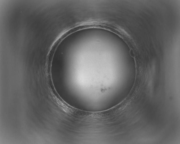 X0000051911216200507011525