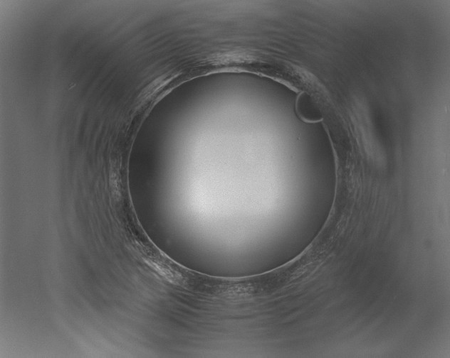 X0000051911217200507011525