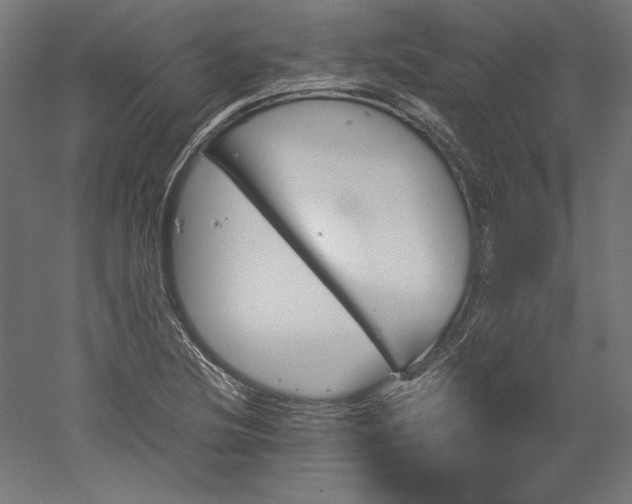 X0000051911220200507011525