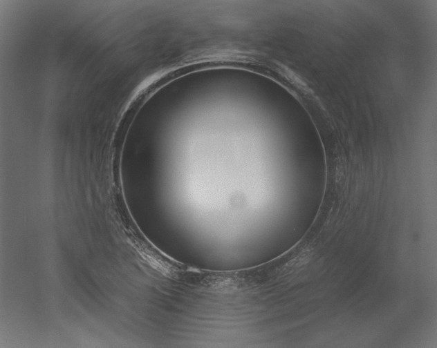 X0000051911222200507011525