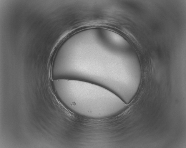 X0000051911224200507011525