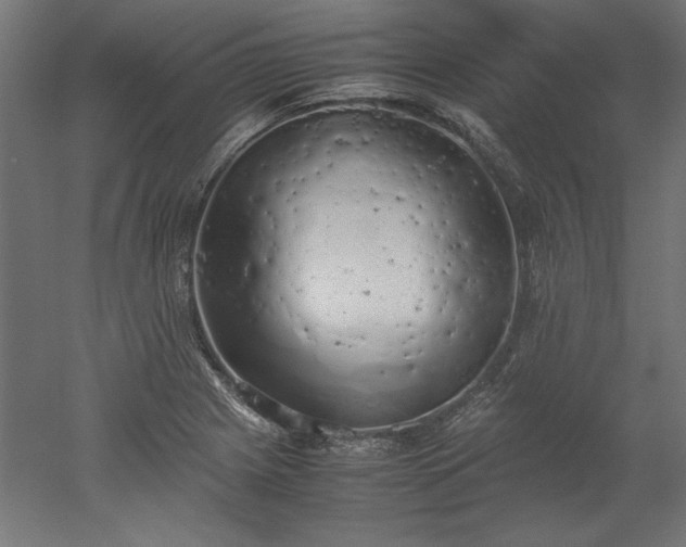 X0000051911225200507011525