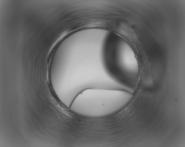 X0000051911227200507011525