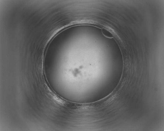 X0000051911228200507011525