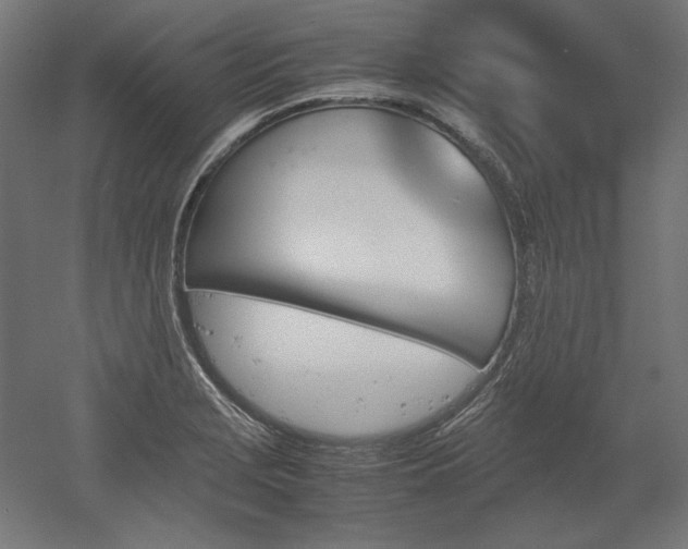 X0000051911229200507011525