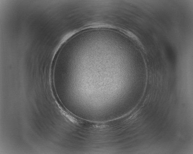 X0000051911231200507011525