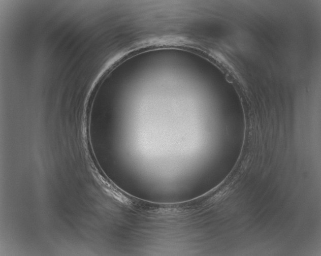 X0000051911232200507011525