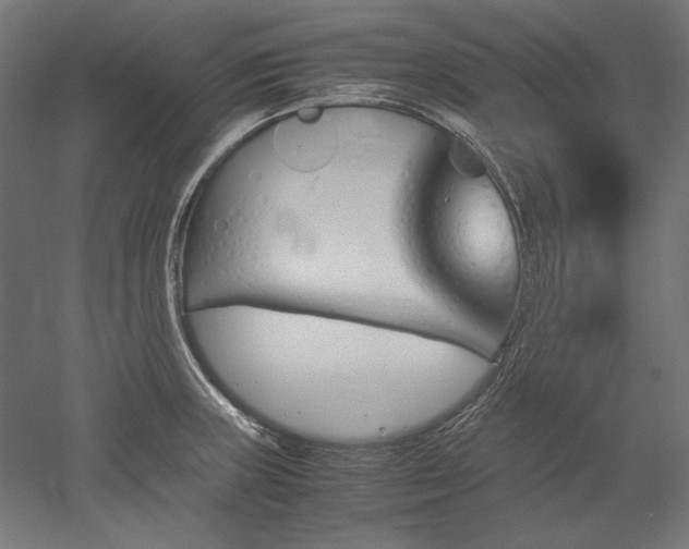 X0000051911235200507011525