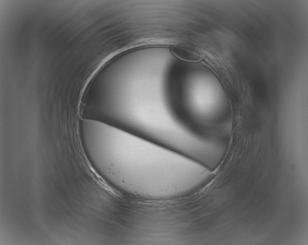 X0000051911236200507011525