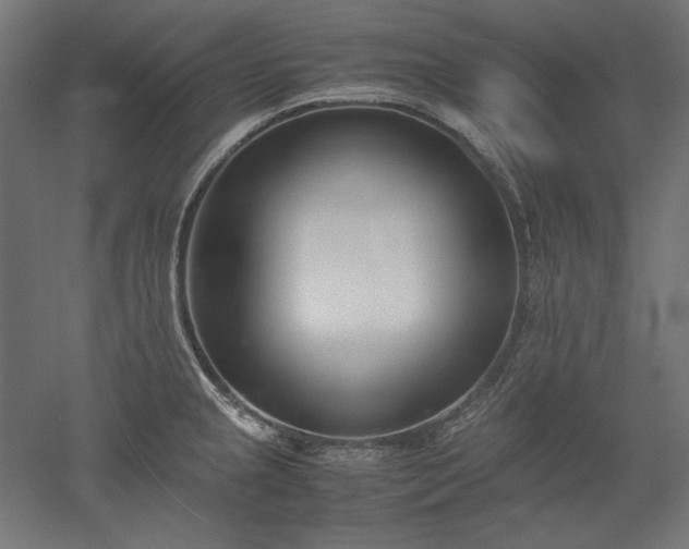 X0000051911237200507011525