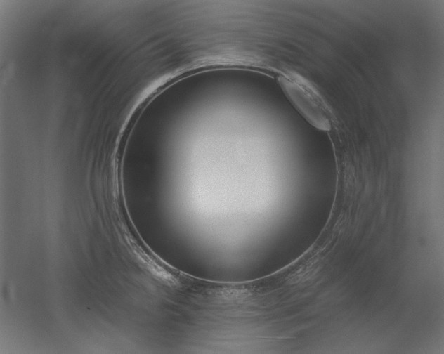 X0000051911238200507011525