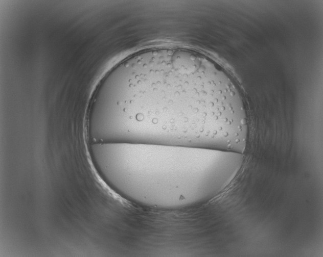 X0000051911239200507011525