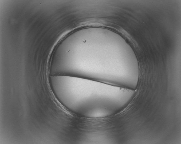 X0000051911240200507011525