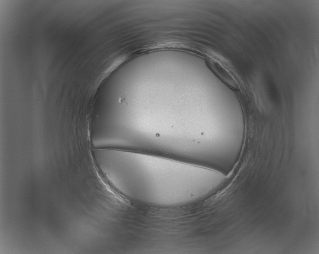 X0000051911241200507011525