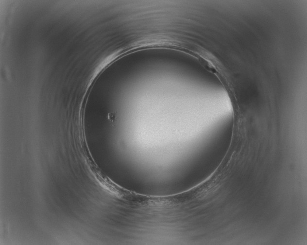 X0000051911242200507011525