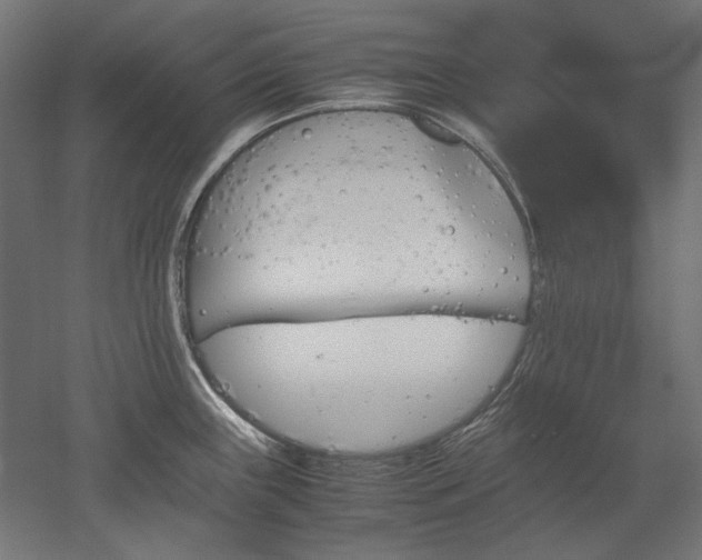 X0000051911243200507011525