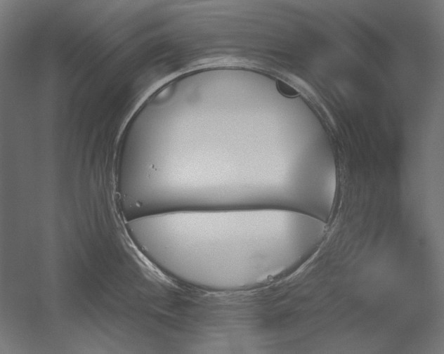 X0000051911244200507011525