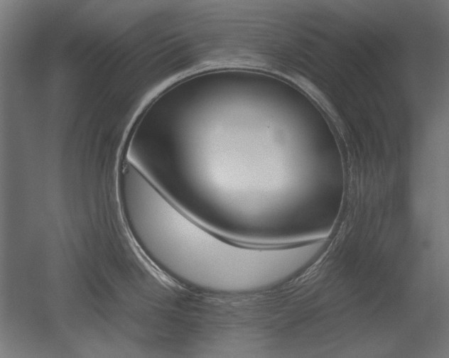 X0000051911246200507011525