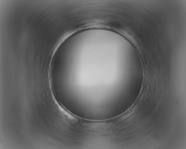 X0000051911247200507011525