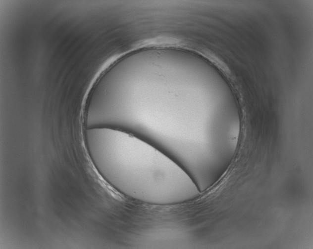 X0000051911248200507011525