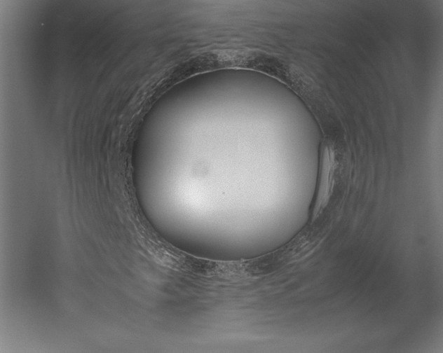 X0000051911249200507011524